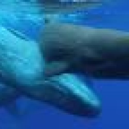 small597_4_1301961824