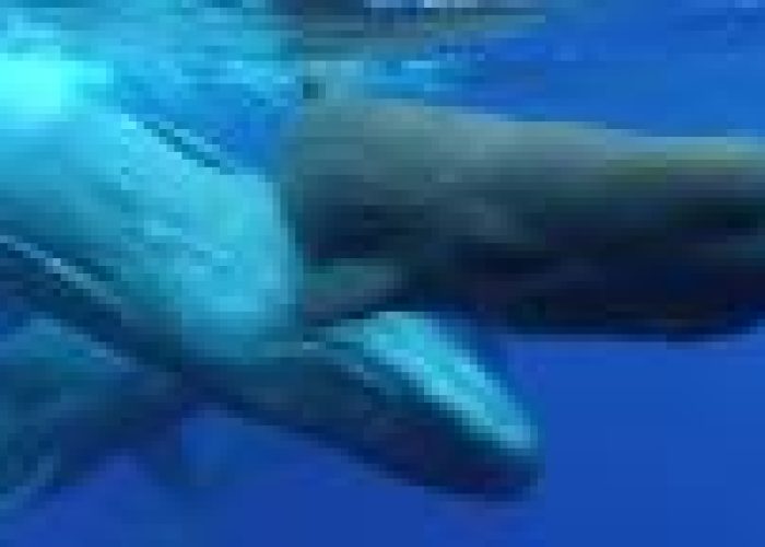 small597_4_1301961824