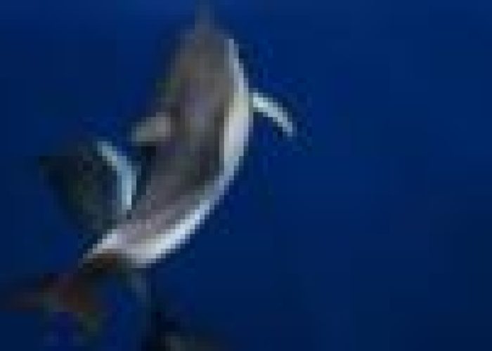 small598_1_1301961888