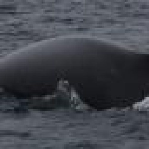 small598_2_1301961888