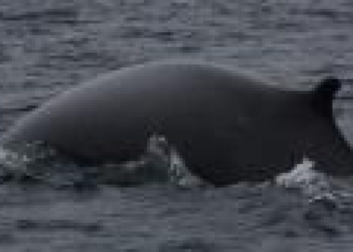 small598_2_1301961888