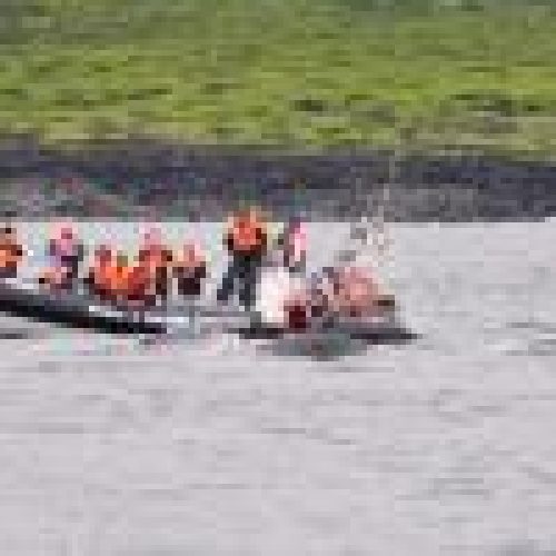 small598_5_1301961888