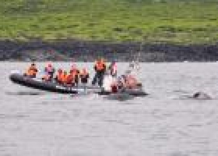 small598_5_1301961888